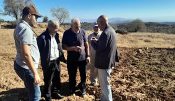 Plantation de Safran, Communes Ain.Sfa et Sidi Bouhria 10 Ha