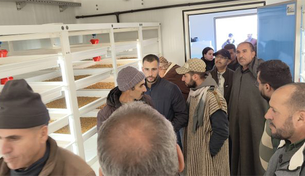 Création et renforcement de 2 groupements Anoc de Tafoughalt et Oujda