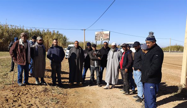 Création et renforcement de 2 groupements Anoc de Tafoughalt et Oujda
