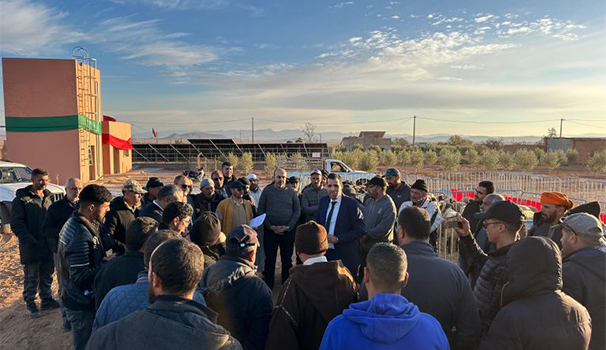 Création et renforcement de 2 groupements Anoc de Tafoughalt et Oujda