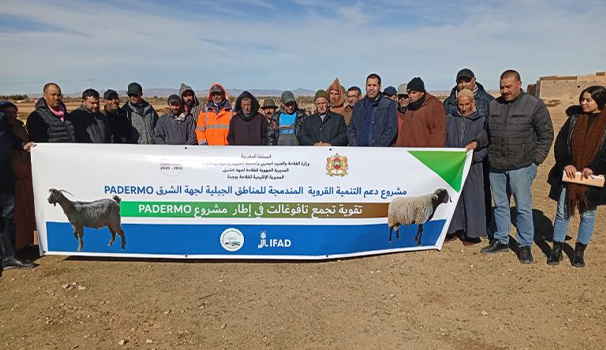 Création et renforcement de 2 groupements Anoc de Tafoughalt et Oujda