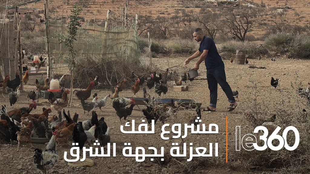 Province d&rsquo;Oujda : Projet de développement prometteur qui redonne espoir aux zones montagneuses