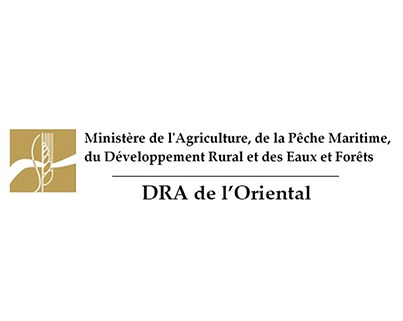 Coordination au niveau central